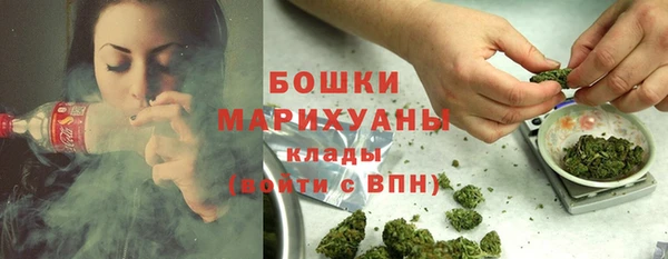марки lsd Новозыбков