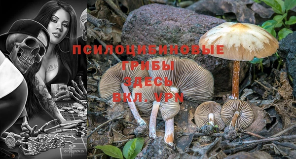 круглые Новодвинск