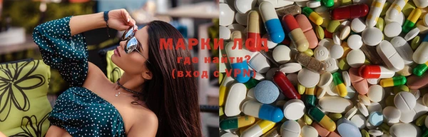 марки lsd Новозыбков